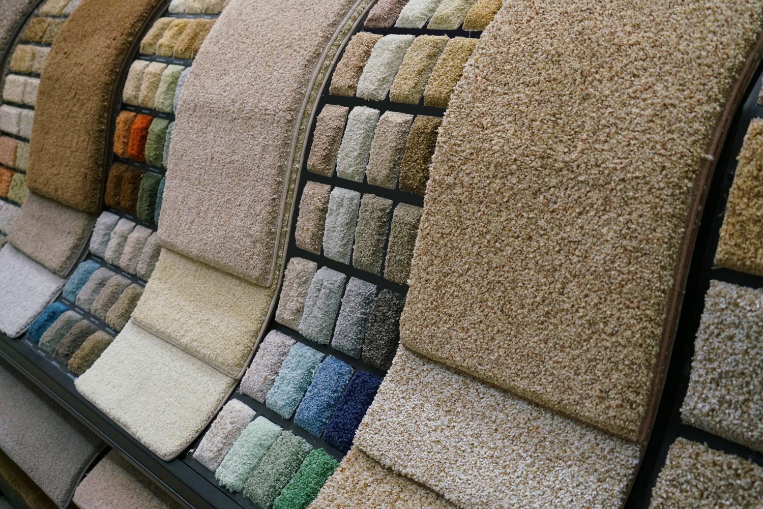 carpet selection