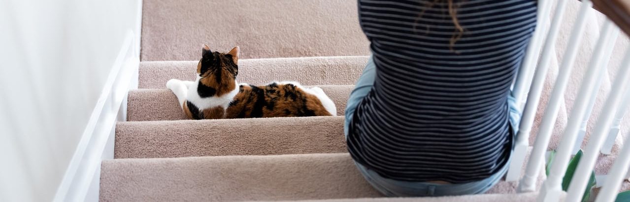 Tips for choosing the right carpet for your stairs