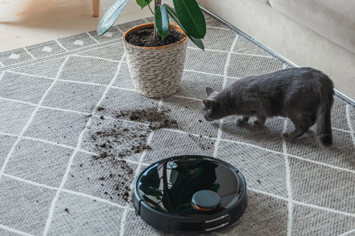 A robotic vacuum cleaner next to a pile of dirt knocked onto carpet by a cat