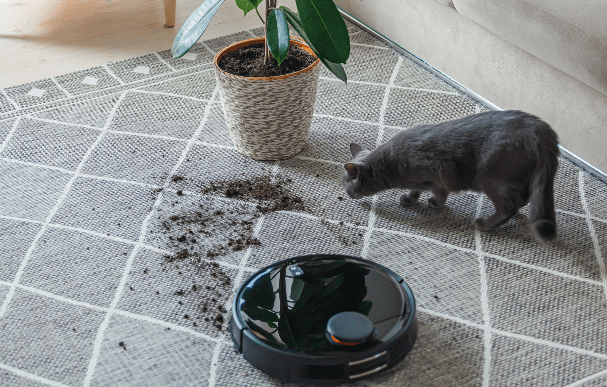 A robotic vacuum cleaner next to a pile of dirt knocked onto carpet by a cat
