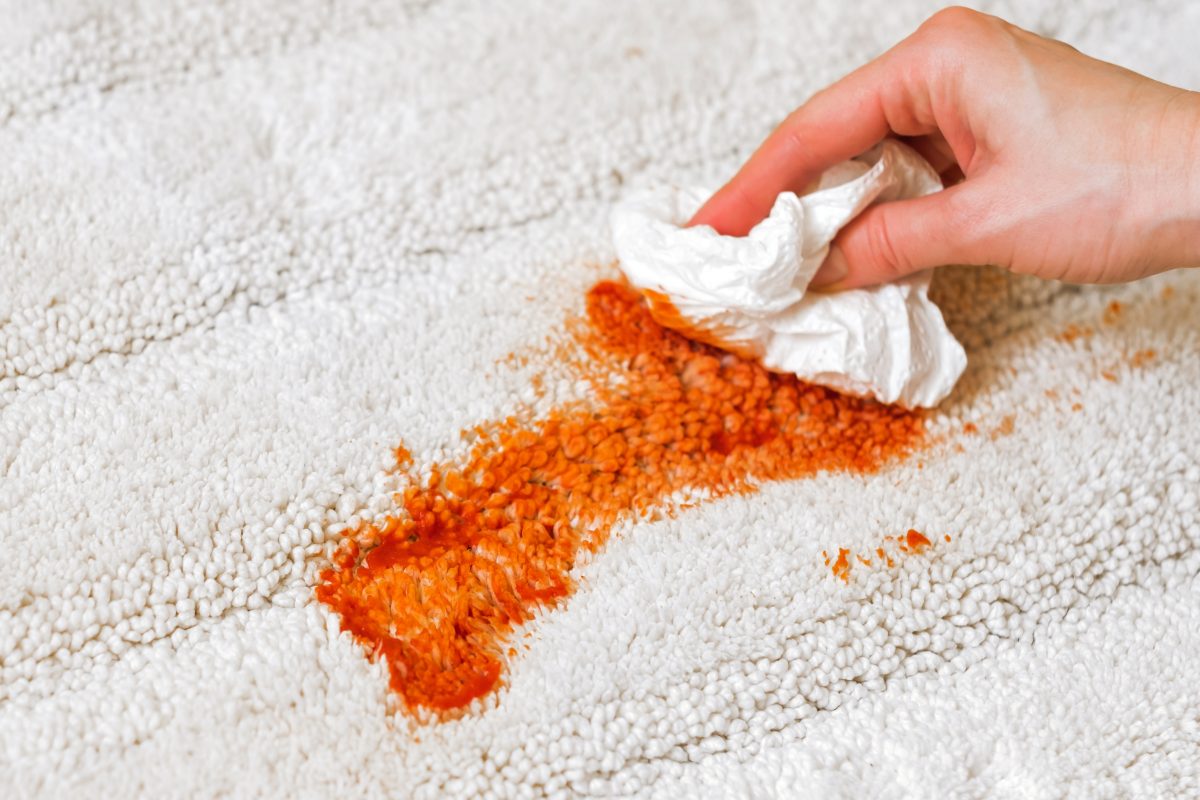 woman's hand attempts diy carpet cleaning of red stain on white carpet