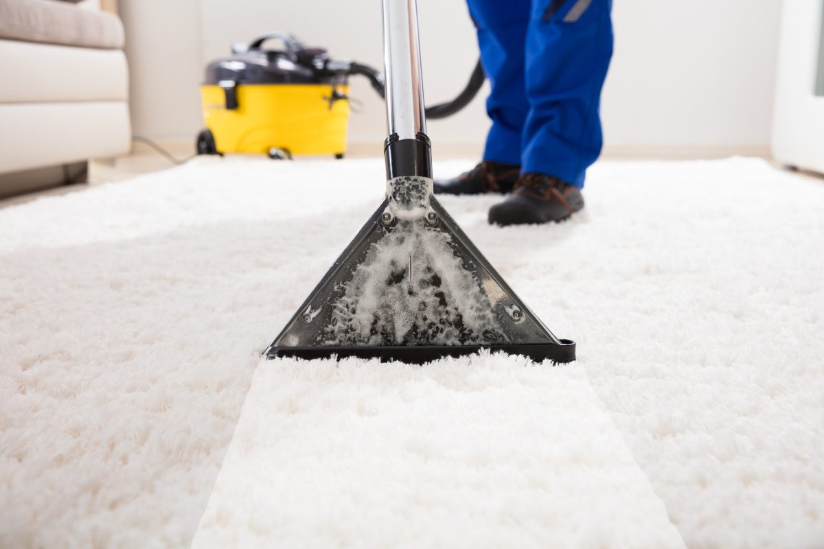 Close-up Of A Professional Cleaning Carpet With Vacuum Cleaner